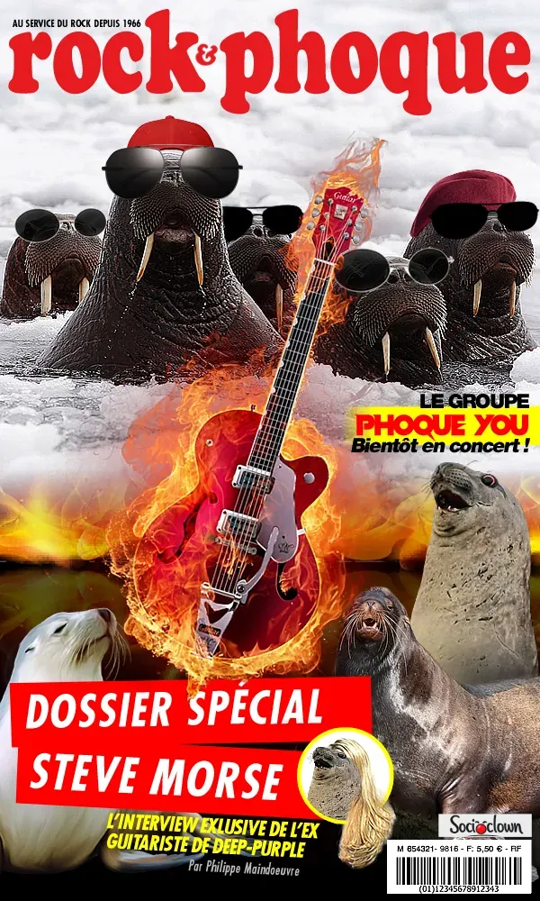 Rock et phoque